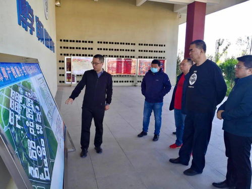 四省十家企业组团到冀南新区考察，区域招商合作迈向新高度